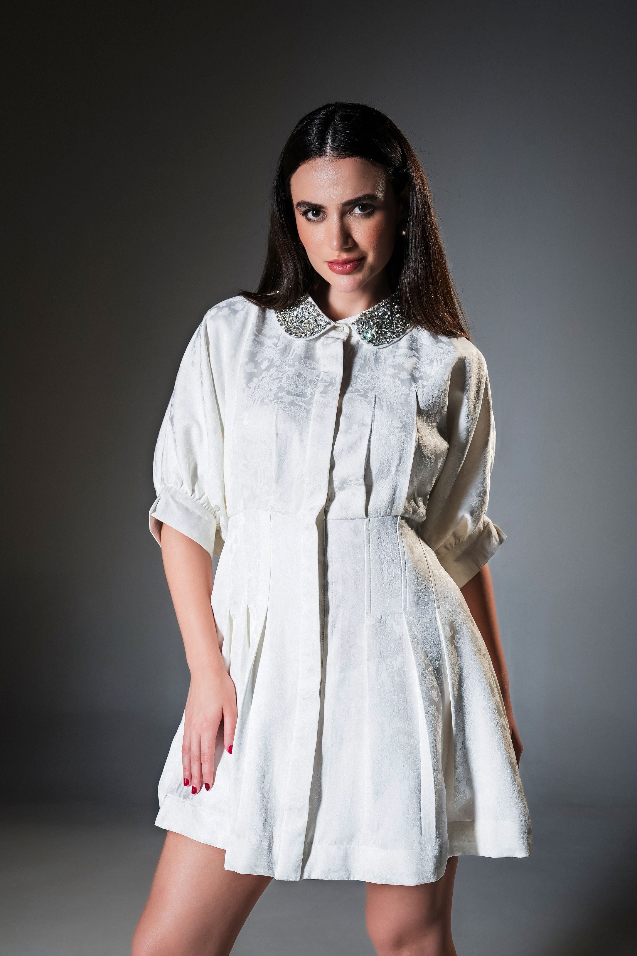 Embellished Peter Pan Collar Pleated Skater Dress