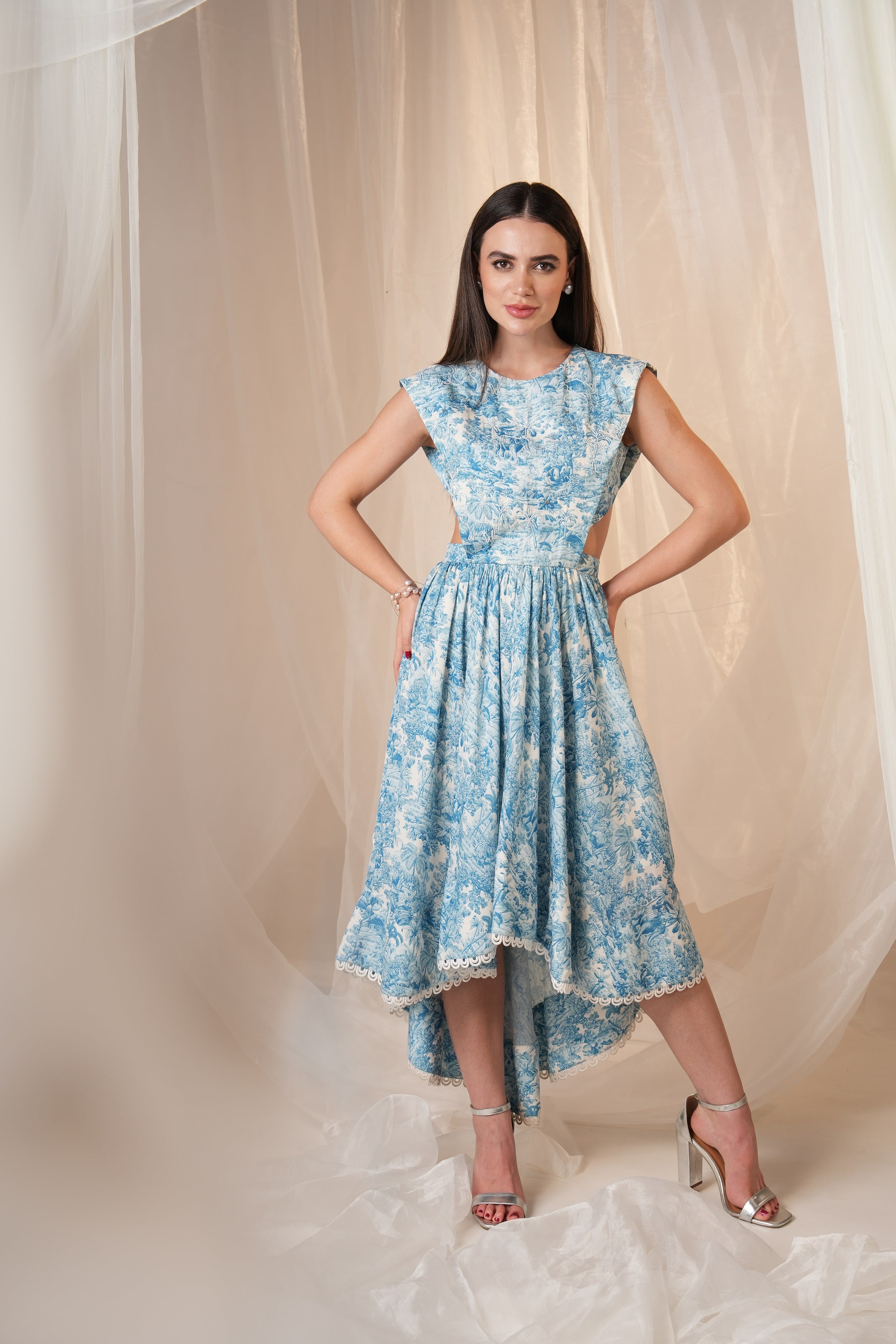 The Blue Forest Whimsical High Low Dress