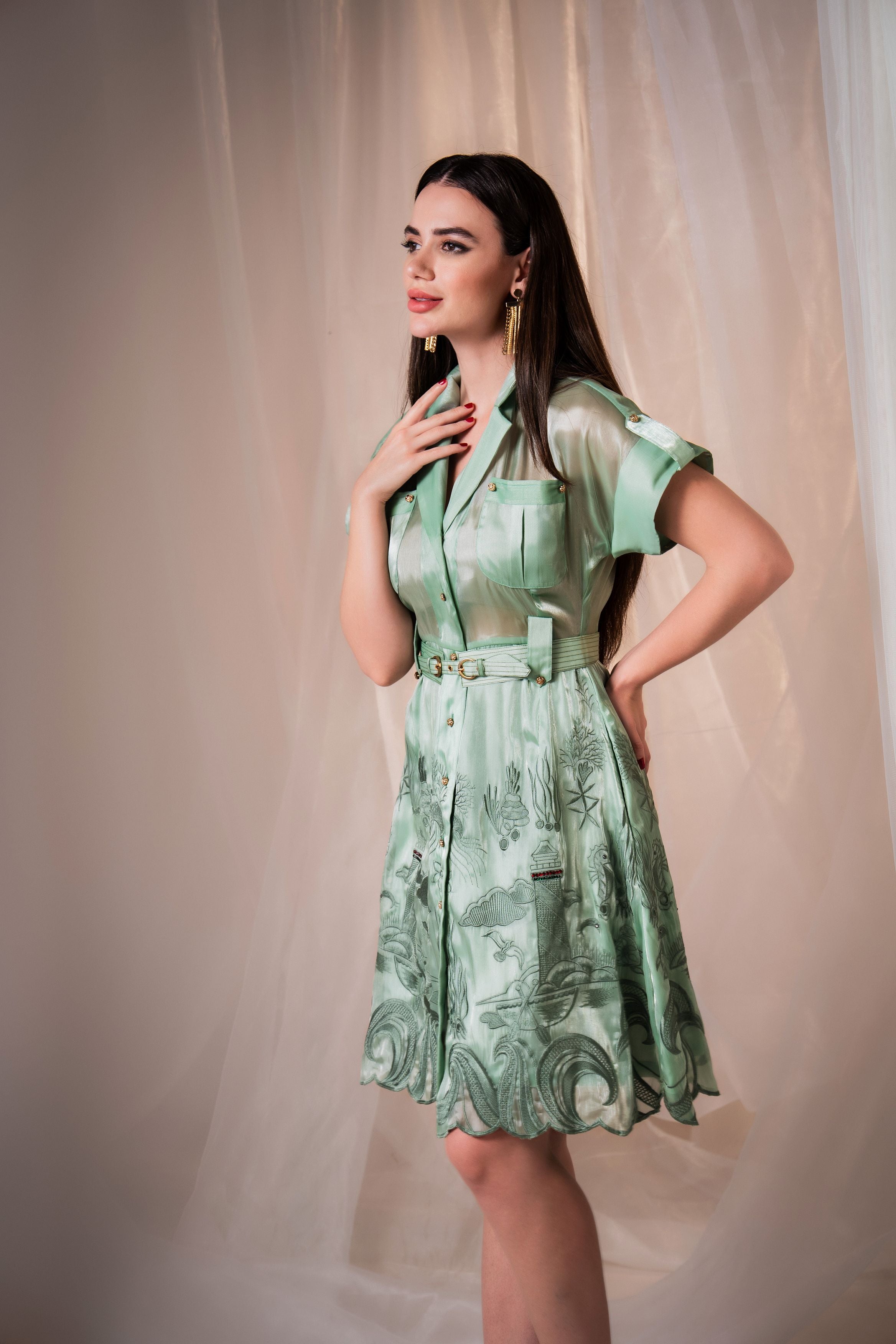 Coral Green Embroidered Silk Organza Ocean Dress